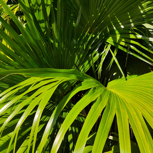 裸体美女张开双腿露黑毛
